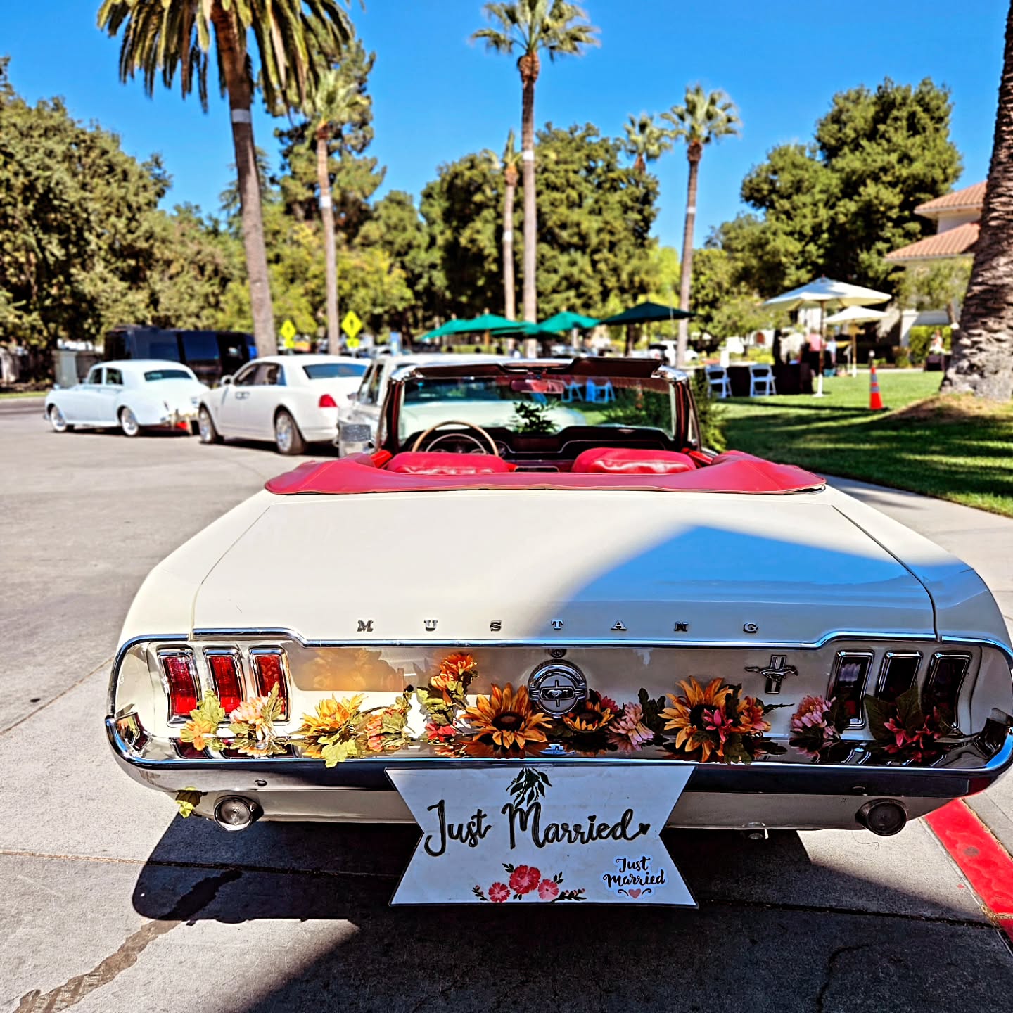 1968 Ford Mustand Convertable